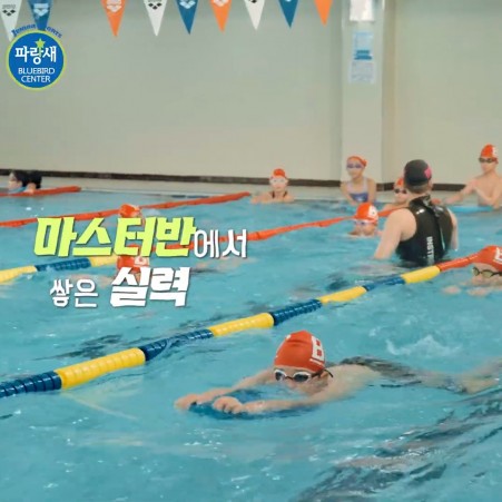 영상 파랑새스포츠센터